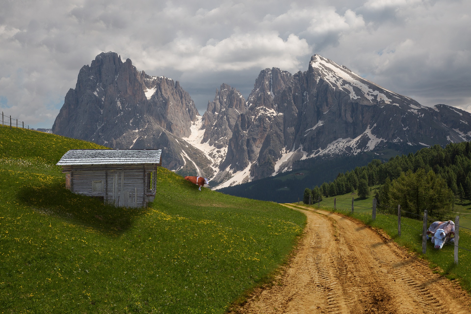 Tiroler Berge bei Westendorf