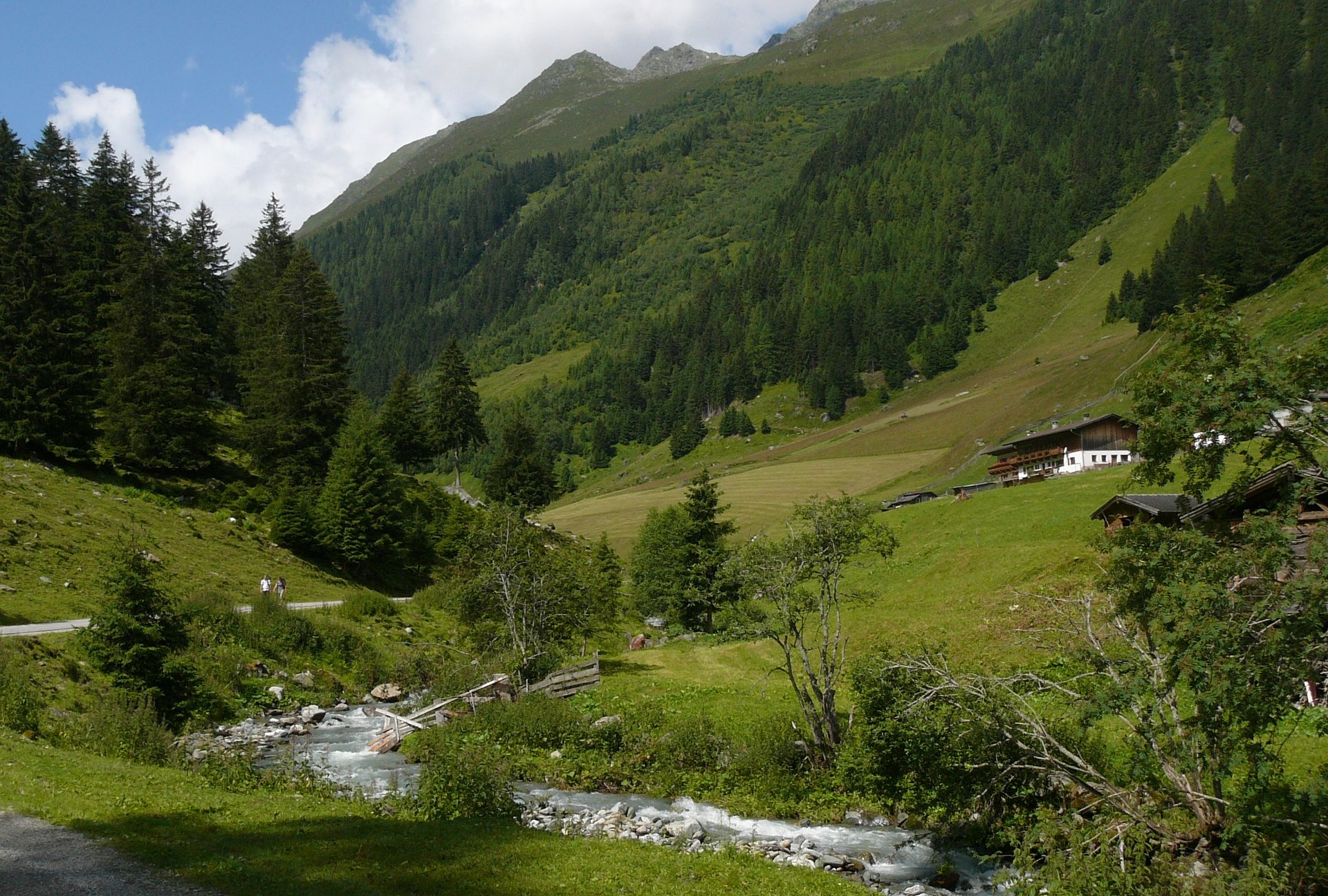 Gebirgstal bei Kirchberg in Tirol